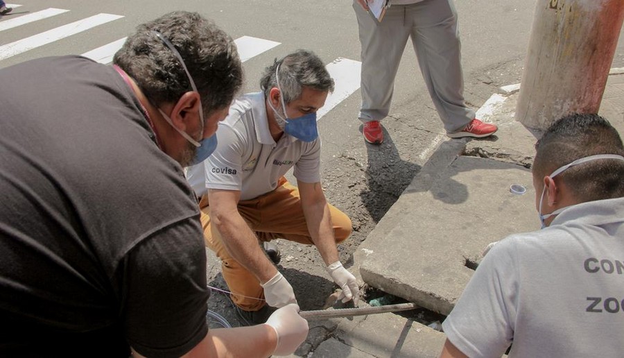 Zoonoses realiza ação de prevenção e combate a roedores