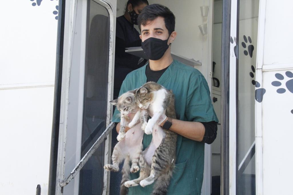 Barueri castrou quase 18 mil animais domésticos desde 2017