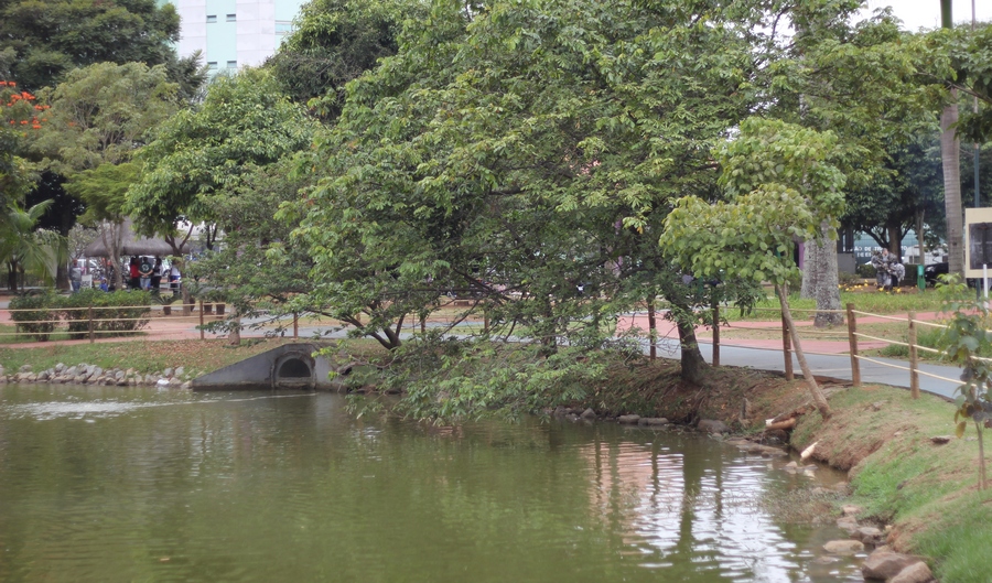 Semana do Meio Ambiente começa com diversas ações na cidade de Barueri