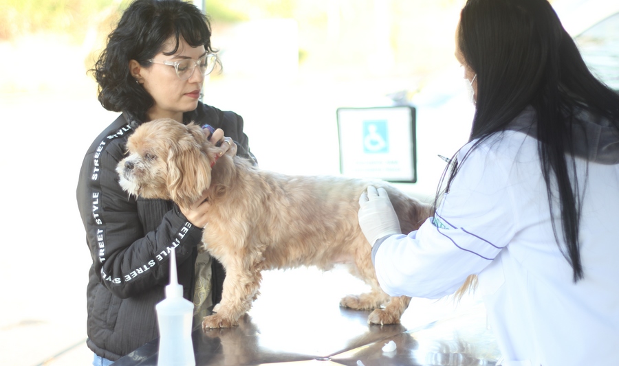 Posto fixo de vacinação antirrábica tem novo horário de funcionamento em Barueri