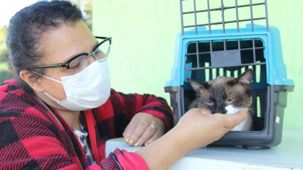 Dia 28 abre o agendamento para mutirão de castração de agosto