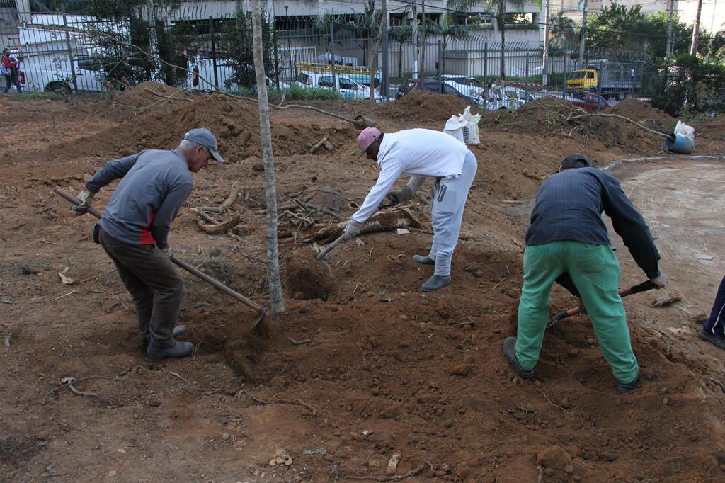 Sema inicia plantio de árvores nativas no parque Dom José 