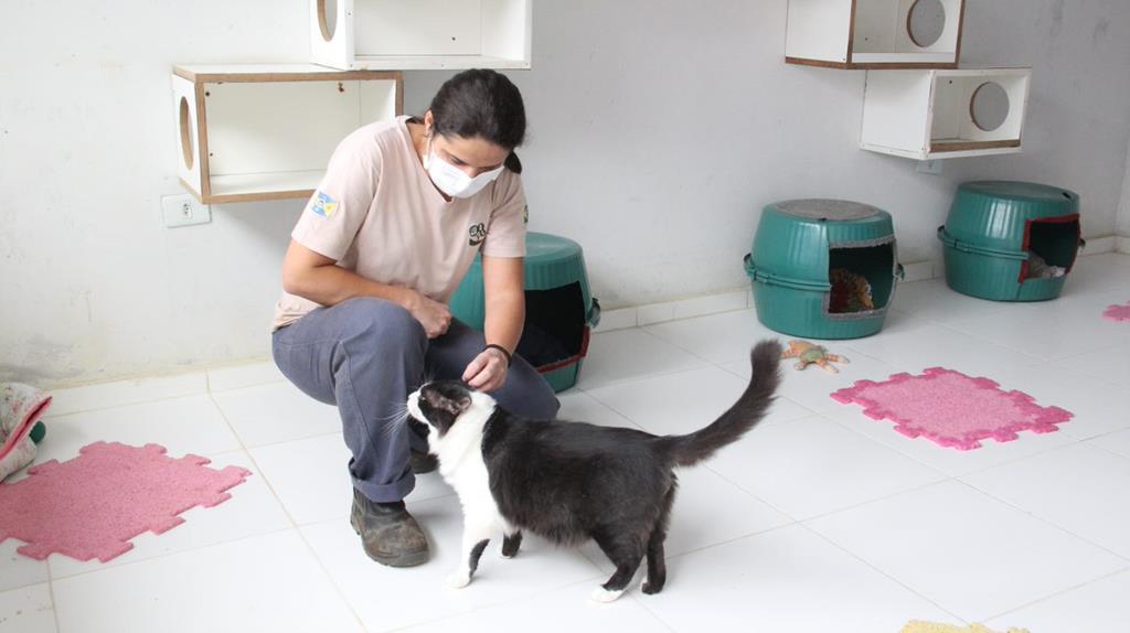 Vacinação contra raiva terá posto fixo em Barueri com agendamento por telefone