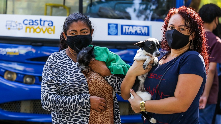 Itapevi realiza 10 mil castrações de cães e gatos