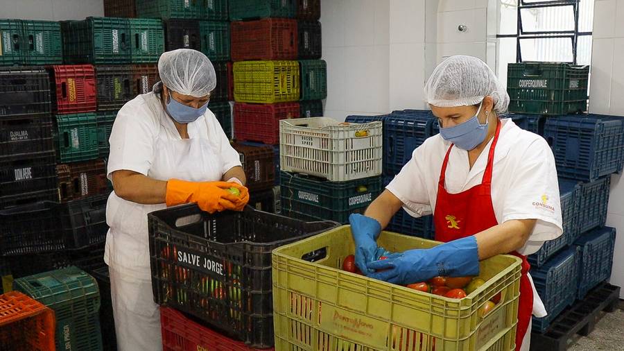 Prefeitura distribui no primeiro trimestre mais de 90 toneladas de legumes e verduras 