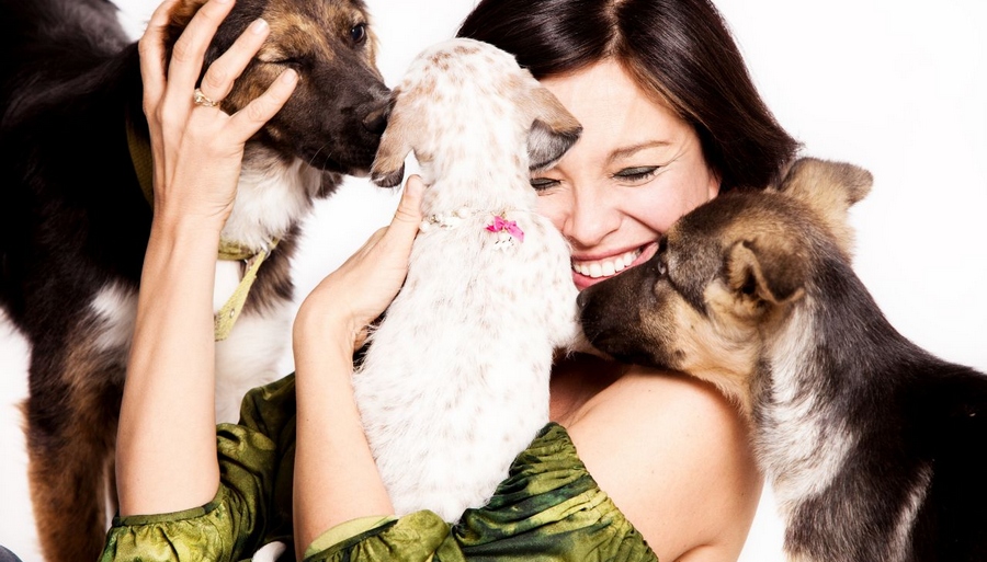 Prefeitura de Jandira realiza nova feira de adoção neste domingo (19)