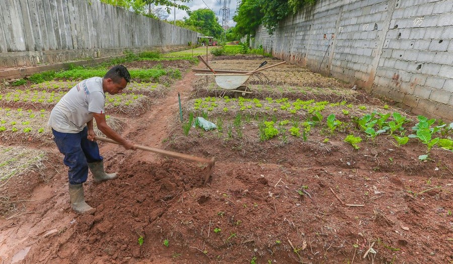 Inscrições para agricultura urbana de Osasco seguem até dia (30)