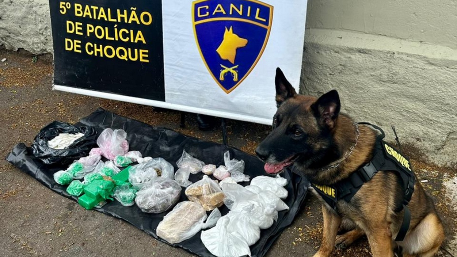 5º BAEP apreende mais de 6kg de drogas em operação na região de Osasco