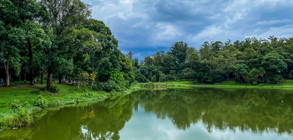 PlanClima SP orienta iniciativas na capital com 43 ações prioritárias