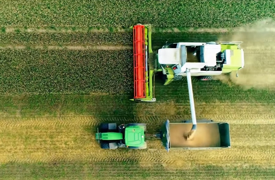 ProAgro-SP: Governo de SP libera R$ 200 milhões de crédito acumulado para agroindústria
